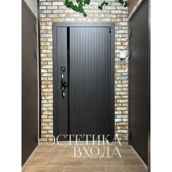 пион антарес дверь