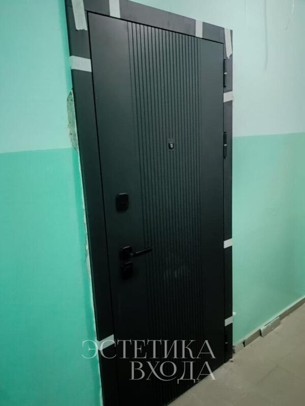 Входная дверь Balance Twin Nuita