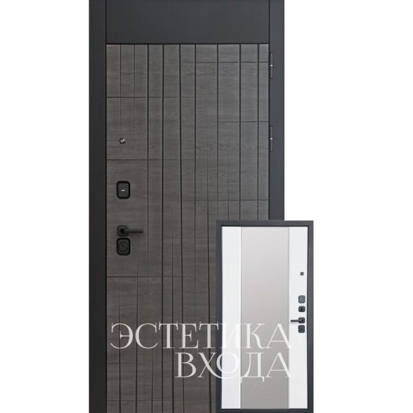 дверь интел с зеркалом