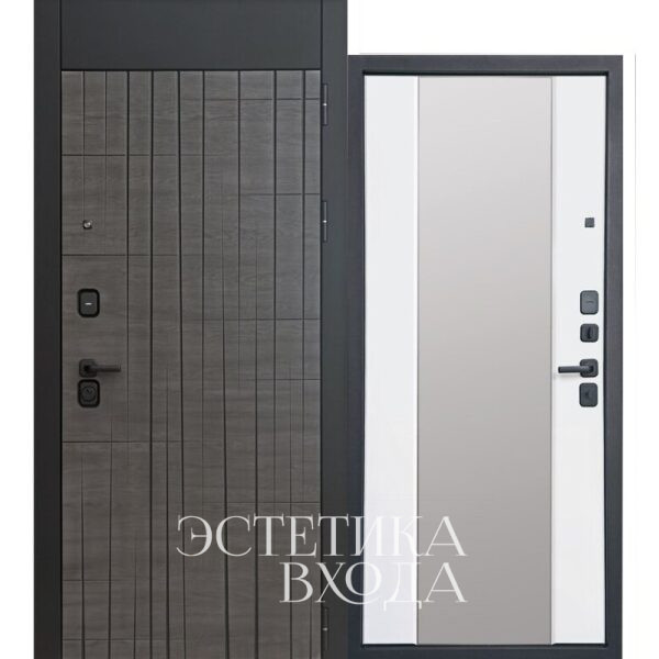 дверь интел с зеркалом