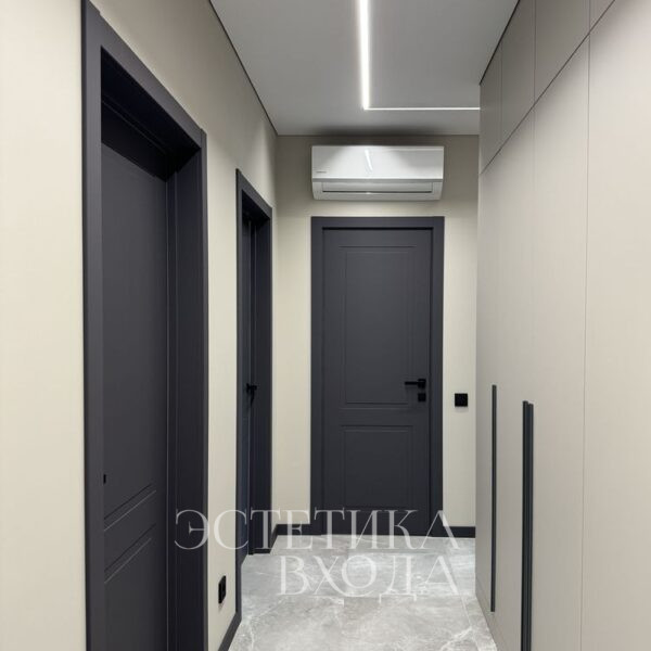 межкомнатные двери графит