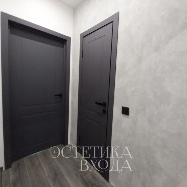 межкомнатные двери графит