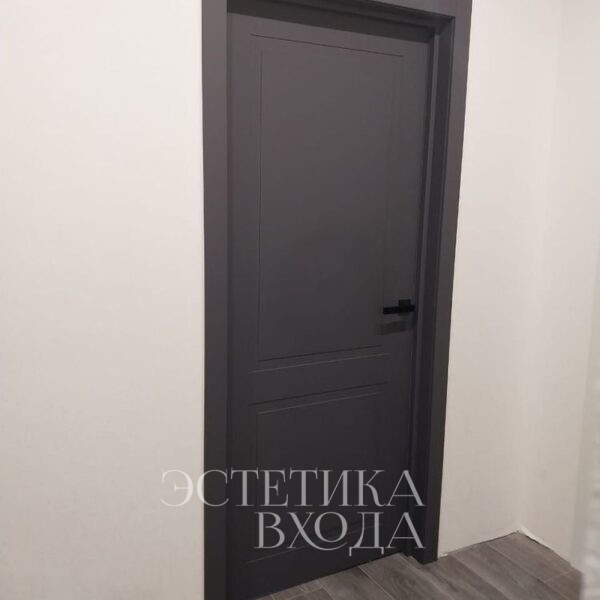 межкомнатные двери графит