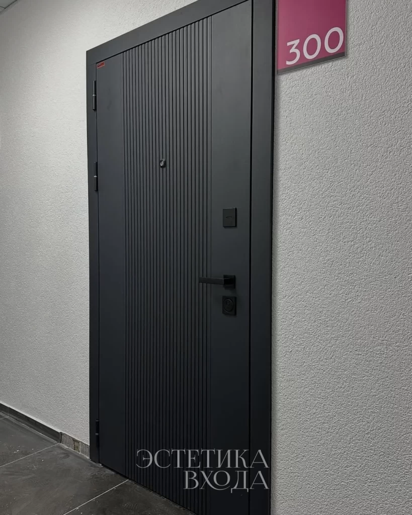 Входная дверь Balance Twin Niuta Midwhite