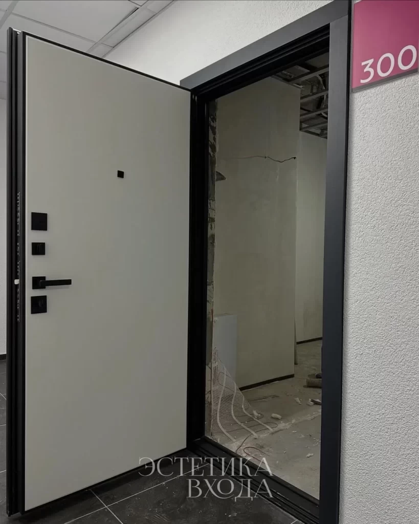 Входная дверь Balance Twin Niuta Midwhite