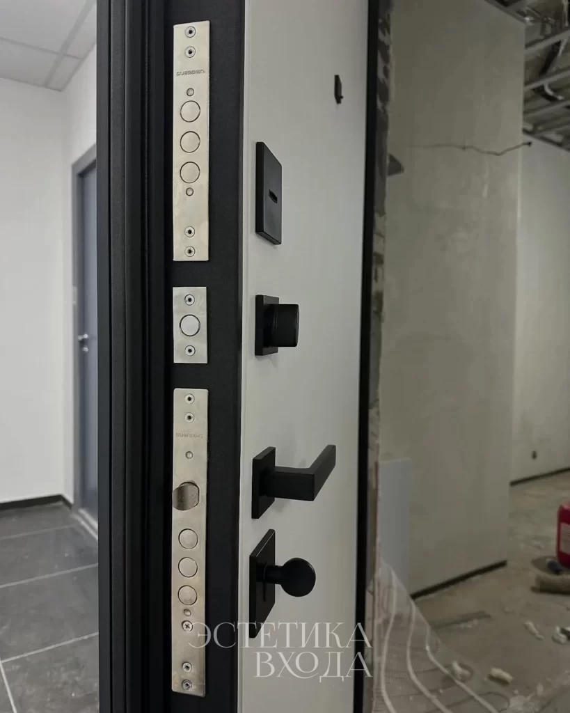 Входная дверь Balance Twin Niuta Midwhite