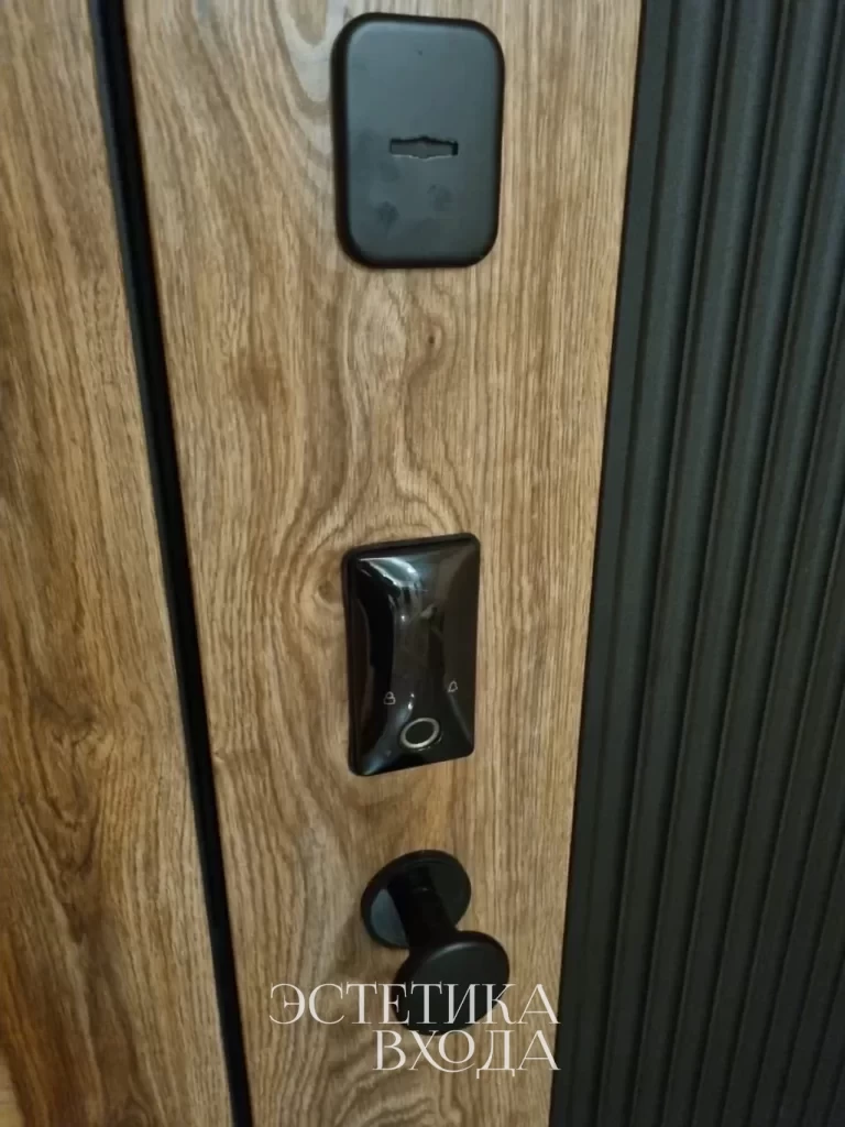 входная дверь тея с электрозамком