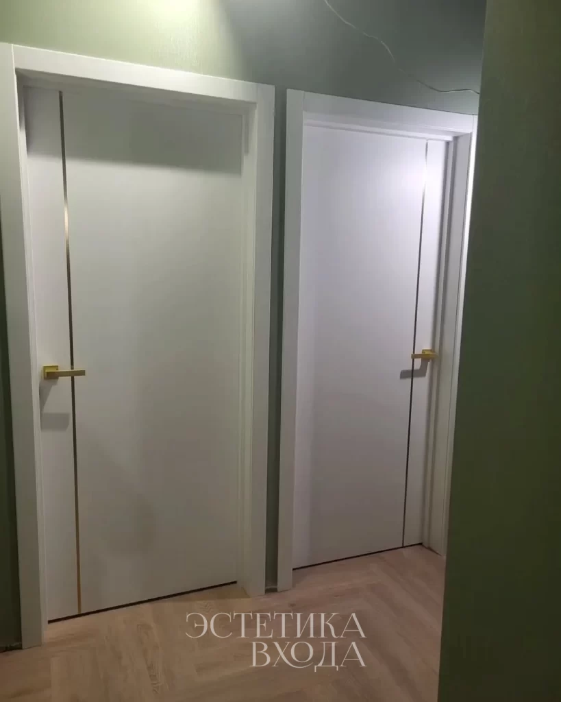 Межкомнатная дверь Line 01 Эмаль золотой молдинг