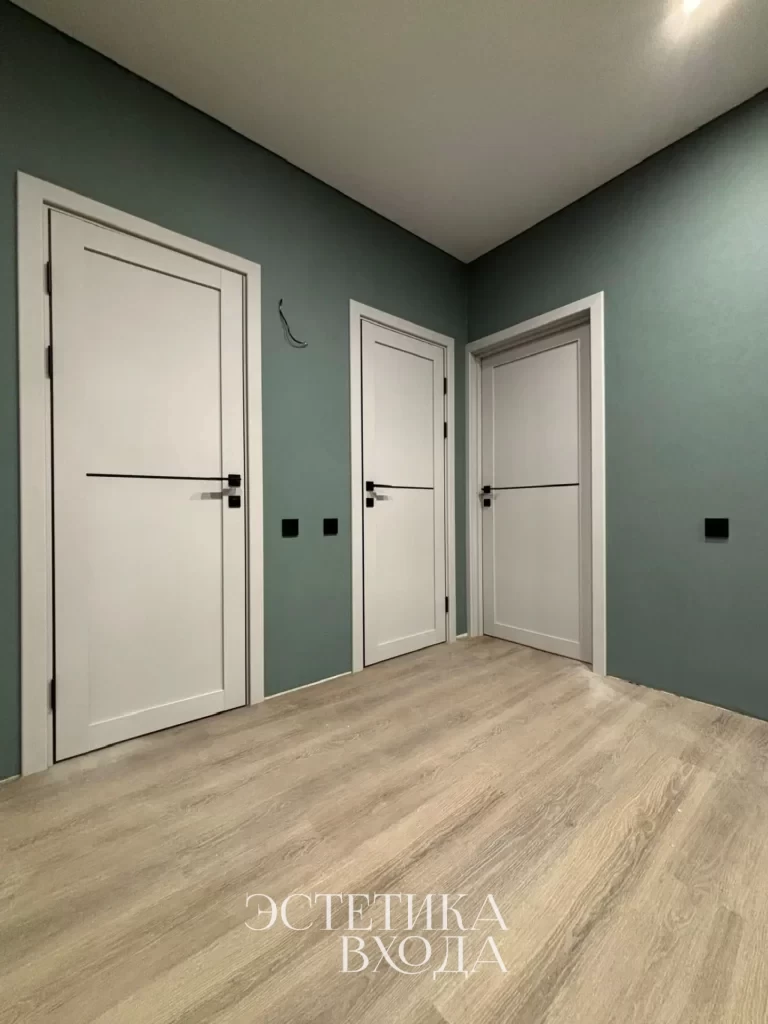 Межкомнатная дверь Турин_502АПП молдинг SB.11