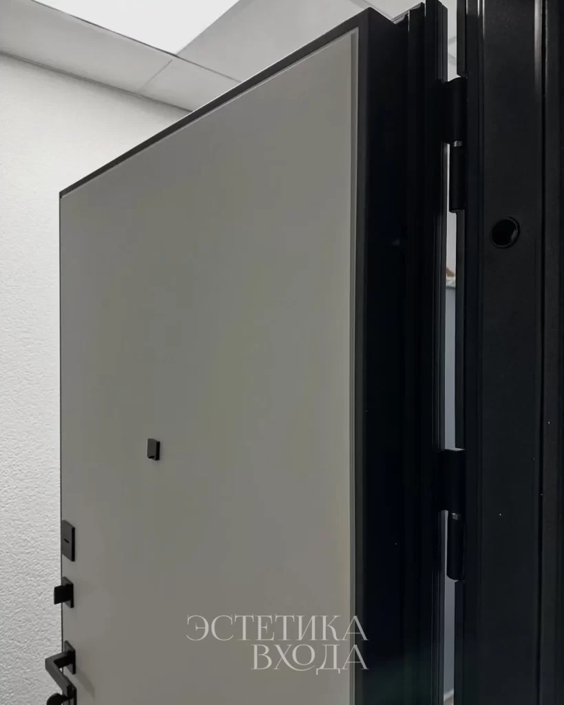 Входная дверь Balance Twin Niuta Midwhite