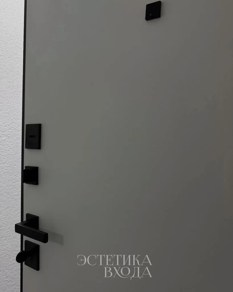 Входная дверь Balance Twin Niuta Midwhite