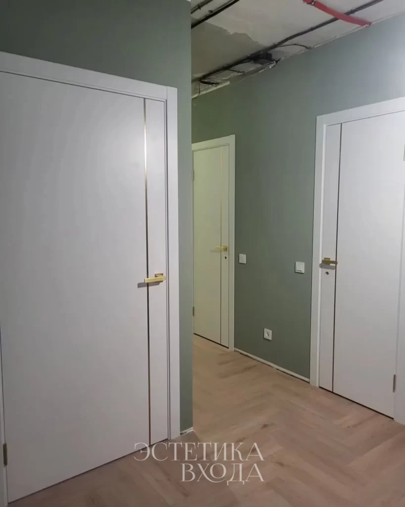 Межкомнатная дверь Line 01 Эмаль золотой молдинг