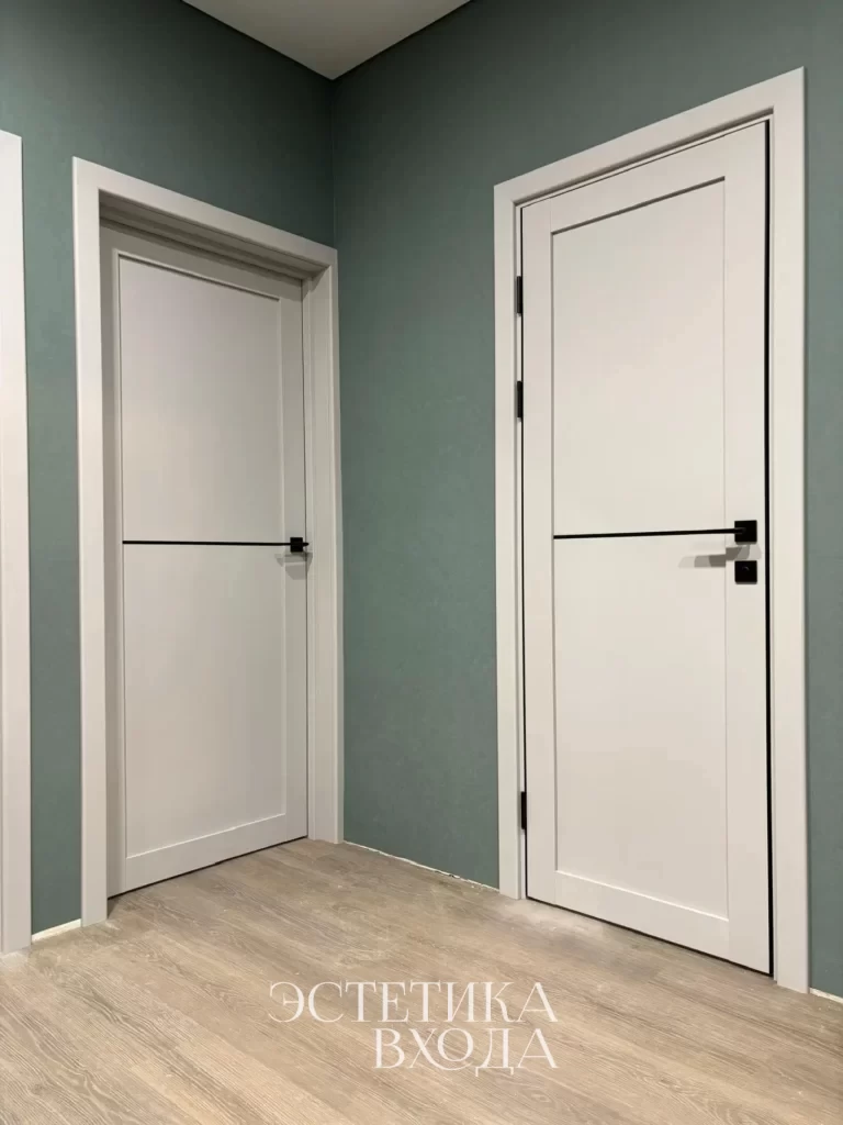 Межкомнатная дверь Турин_502АПП молдинг SB.11