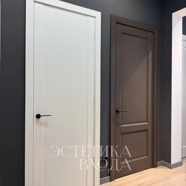 дверь 2 fl haus doors