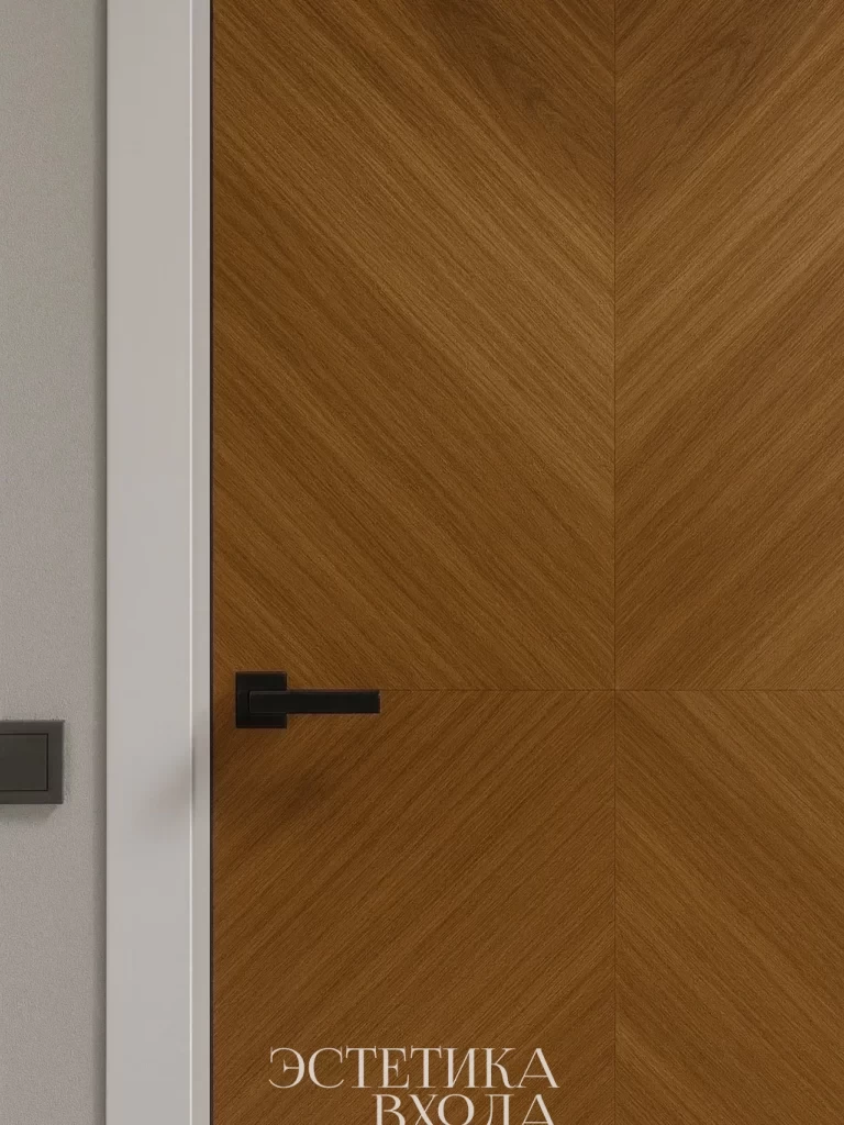 estetika vhoda krasnodar dveri (119)